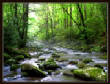 SmokiesStream.jpg