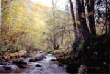 TribalReserve0601.JPG