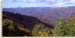 great_smoky_mountains_national_park.jpg